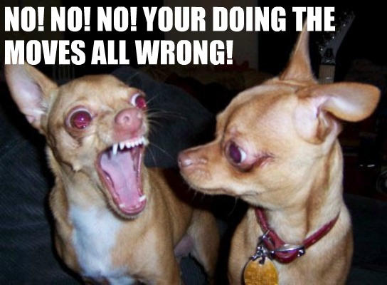 Angry Chihuahua By Hawkfrostscourgeluva On Deviantart Angry Chihuahua By Hawkfrostscourgeluva On Deviantart