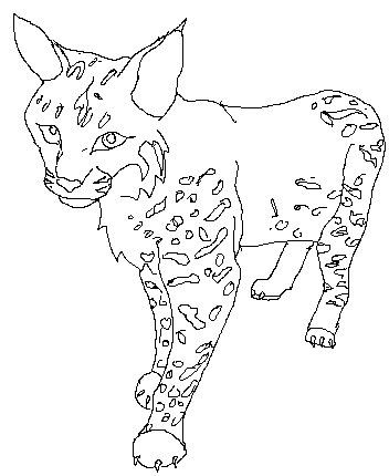 Bobcat Lineart