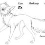 Male Wolf Ref Sheet - Group