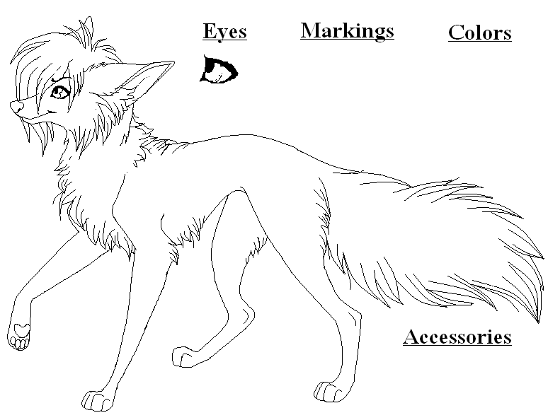 Male Wolf Ref Sheet - Group