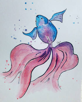 Koi Fish