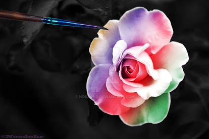 Painted Flower