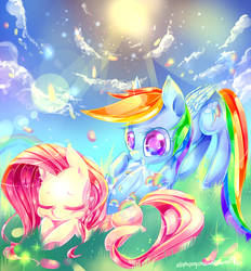 need a blanket?fluttershy and rainbow dash(MLP)