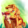 MLP family