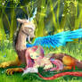 MLP : Discord and Fluttershy