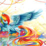 Rainbow Dash