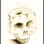 .: Apple.:.Skull :.