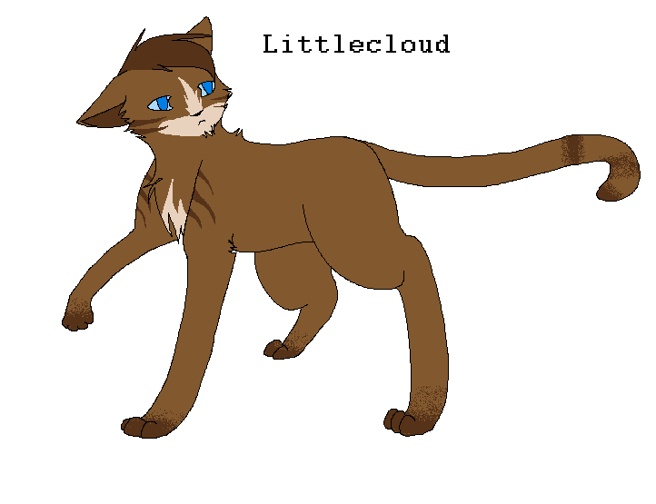 Littlecloud's design