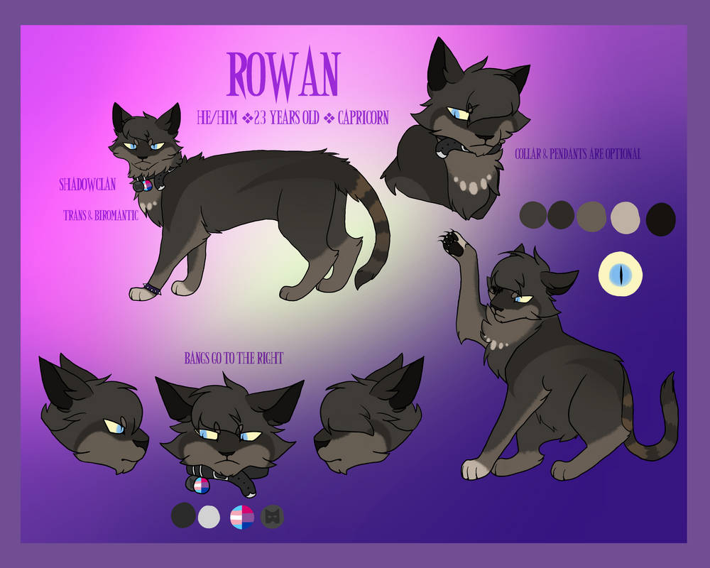 Rowan Reference Sheet 2022 by EvilDeedsXx on DeviantArt