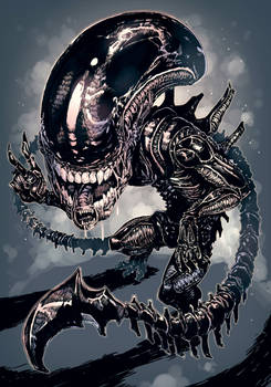 Xenomorph