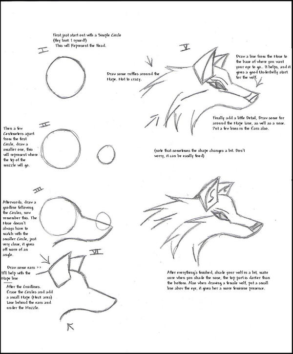 Wolf Head Tutorial