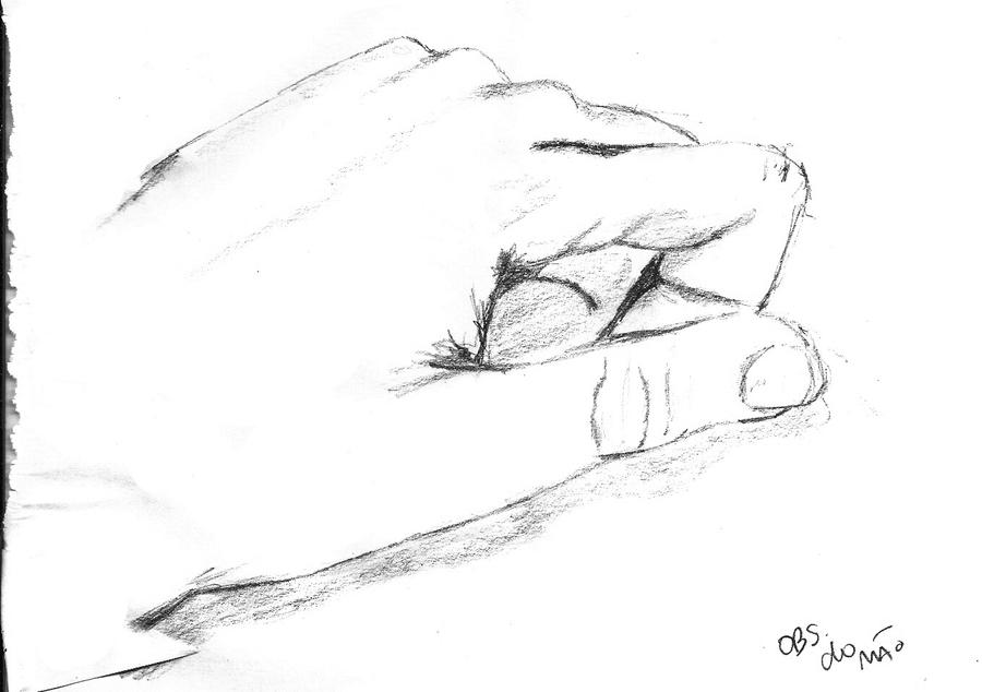 First Hand Observation Drawing My hand - Observation drawing by bypri on DeviantArt