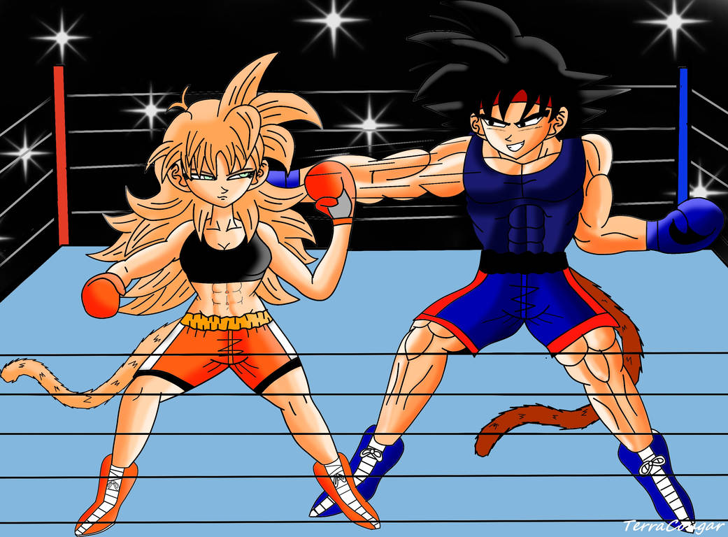 Boxing Match by Terracougar on DeviantArt