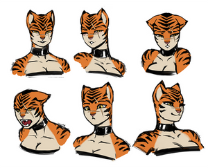 Wild expression sheet (Update)