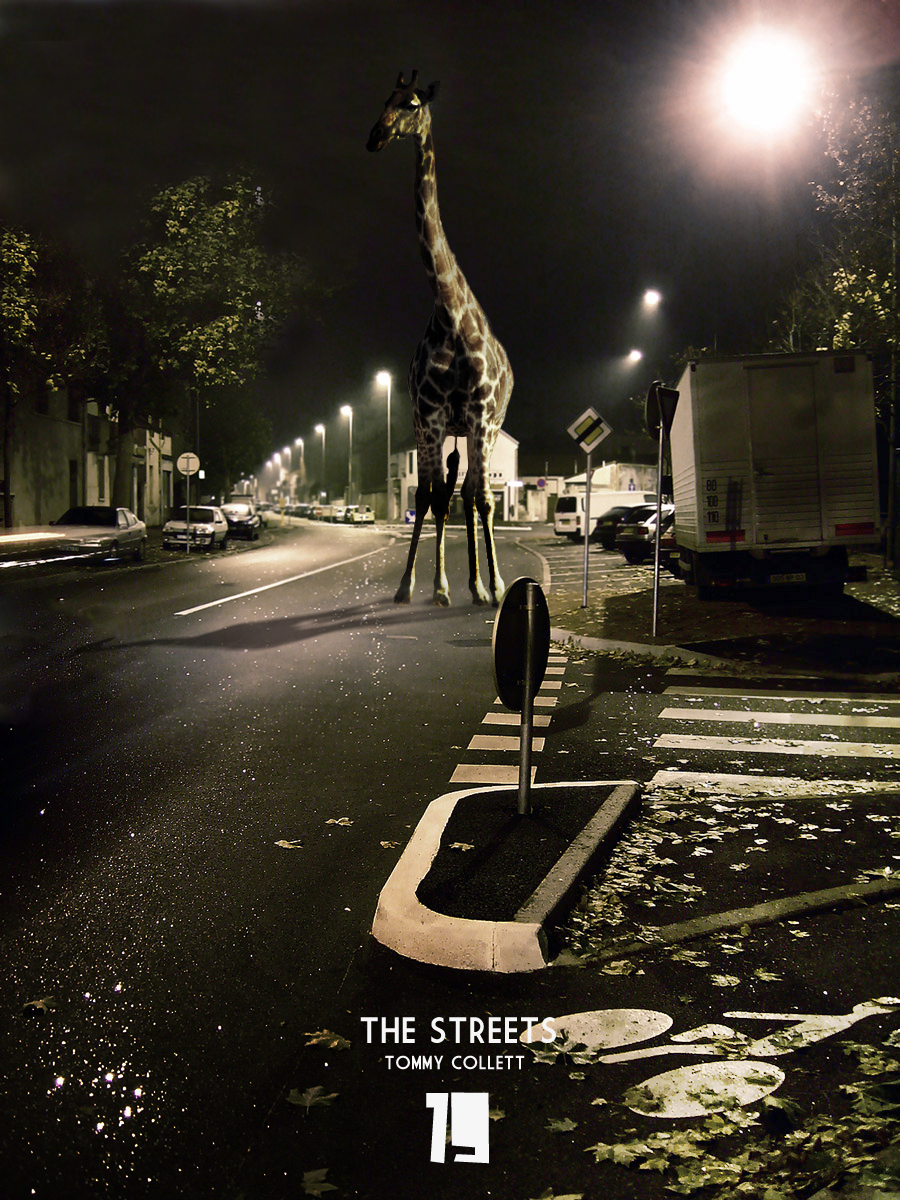 Giraffe In The Street