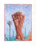 Red one in asure by Segol-Hane