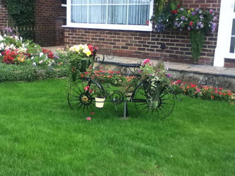 Floral bike