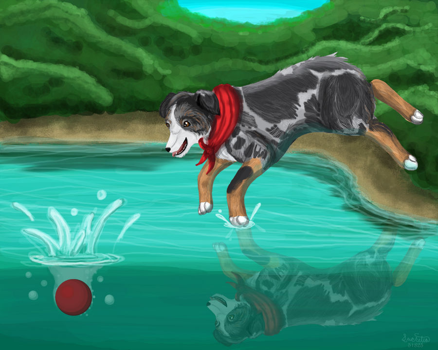 Deviantart Animal Jumping Jump In by emurakawa on DeviantArt