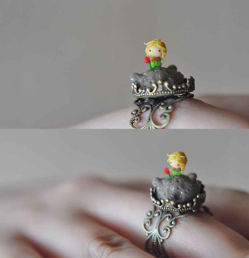 My Little Prince's Planet by wibblequibble My Little Prince's Planet by wibblequibble