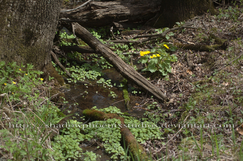 Photo: Nature Center 3