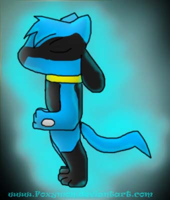 Riolu's Aura- Contest