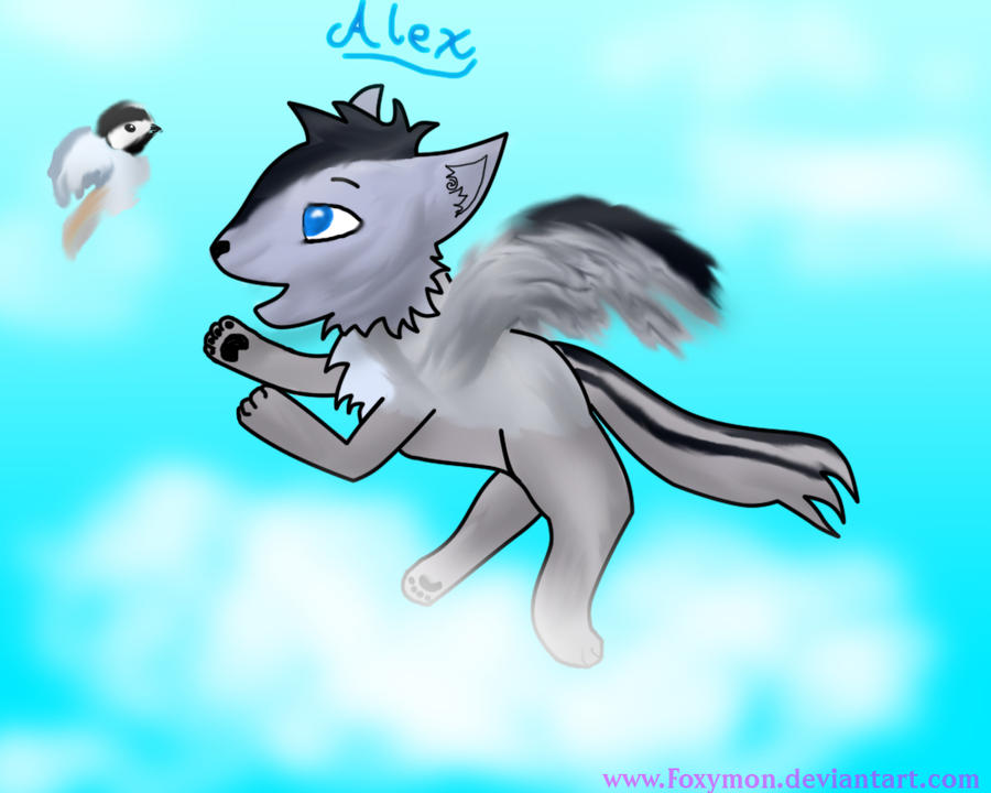 Alex the wolf