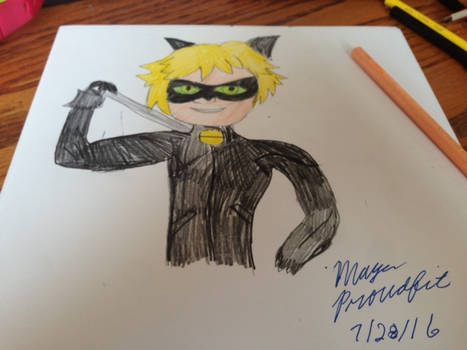 Cat Noir