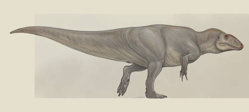 Carcharodontosaurus saharicus by Lokill9
