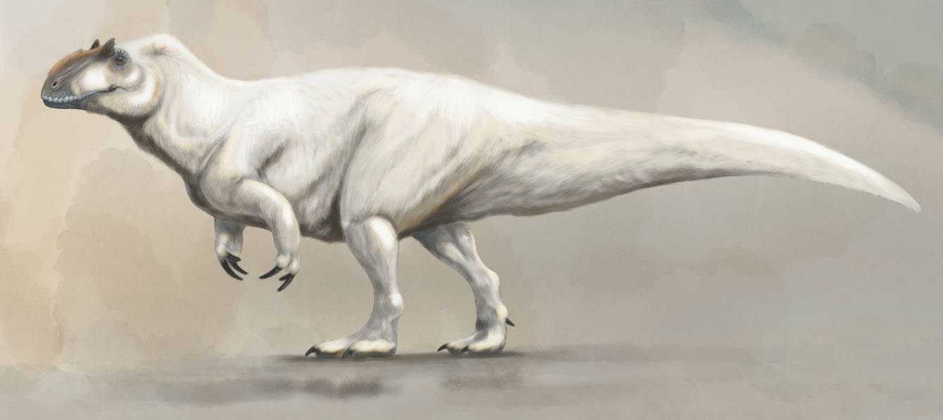 Yutyrannus huali by Lokill9 on DeviantArt