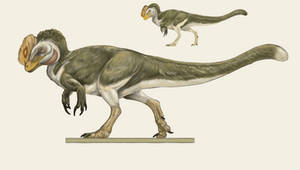 Proceratosaurus