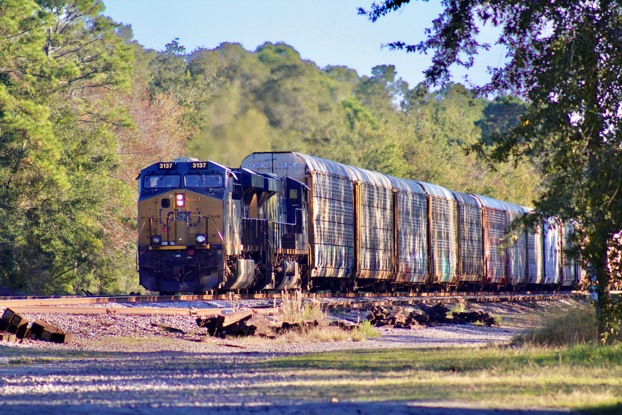 CSX Autorack Train 10-22-22 by tommy4trains on DeviantArt
