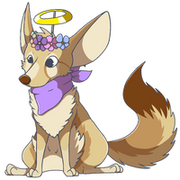 Fennec Fox - Spindle OC