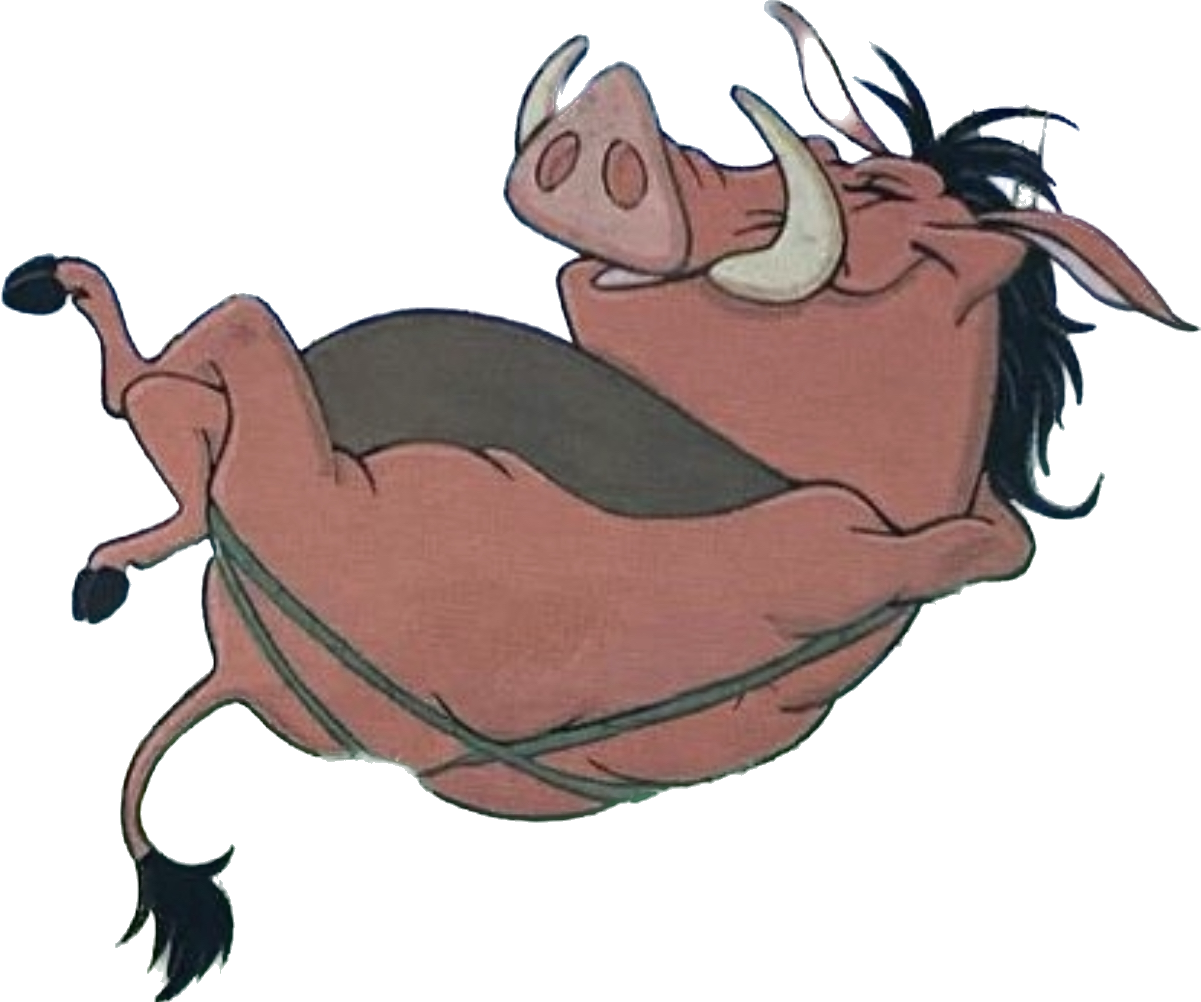Pumbaa png by riomadagascarkfp1 on DeviantArt