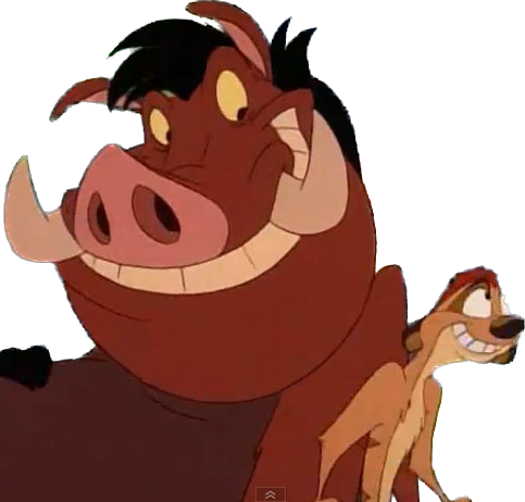Timon and Pumbaa png 2 by riomadagascarkfp1 on DeviantArt