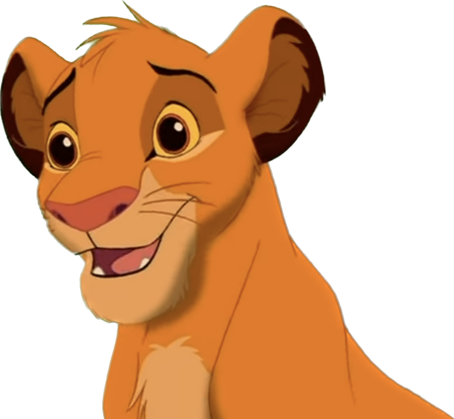 Young Simba png 5 by riomadagascarkfp1 on DeviantArt