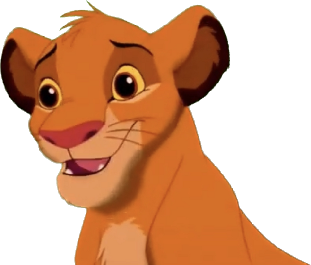 Young Simba png 9 by riomadagascarkfp1 on DeviantArt