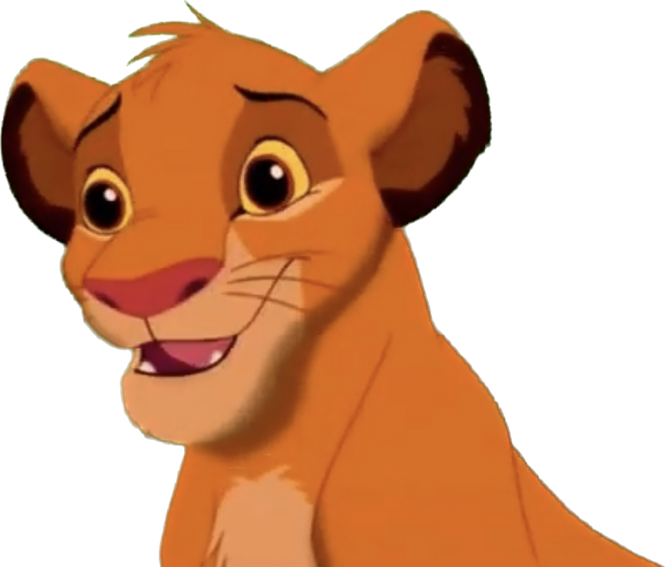 Young Simba png 9 by riomadagascarkfp1 on DeviantArt