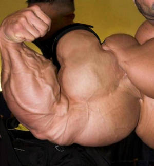 Fascinating Muscle - Biggest