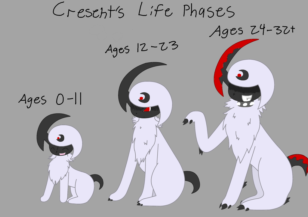 Cresents Life Phases