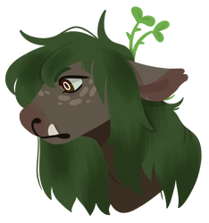 Moss Headshot