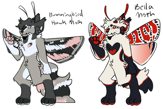 Moth Adopts (1/2 OPEN)