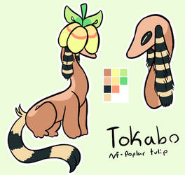 tokabo ML ref