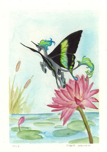 Wingly Commission 1 of 6 by JessicaMDouglas on DeviantArt