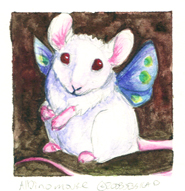 Albino mouse