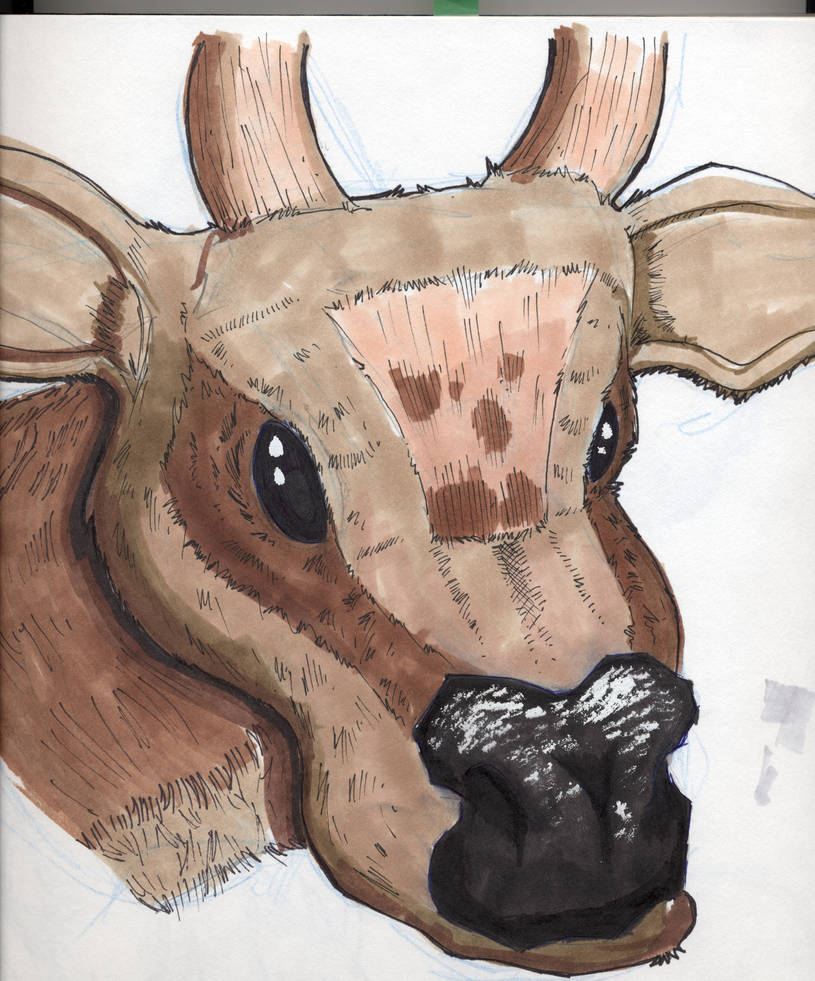 moo cow by devilsbane on DeviantArt