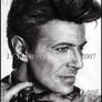 David Bowie IV