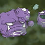 The Koffing Family