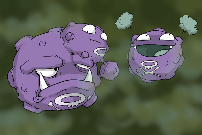 The Koffing Family