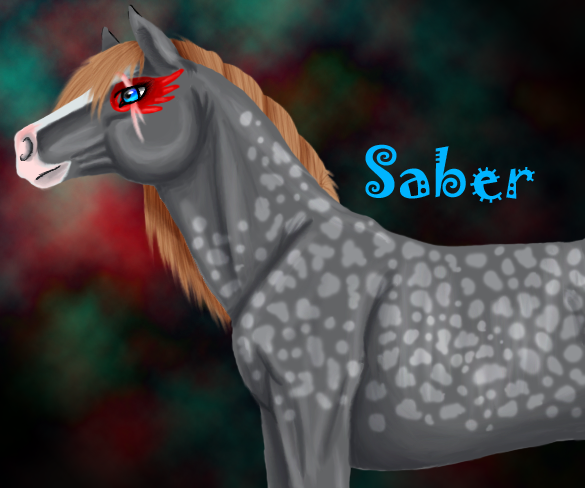 Sabers New Look