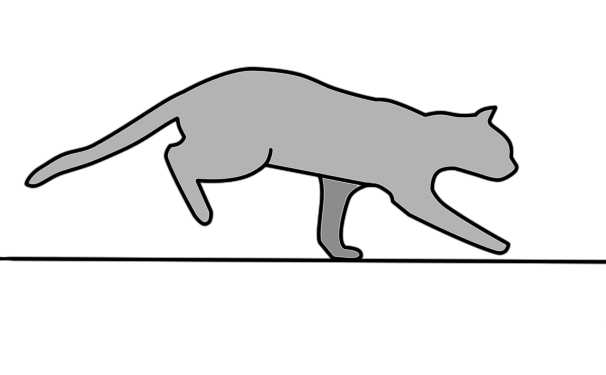 cat run cycle by budgie-lover on DeviantArt